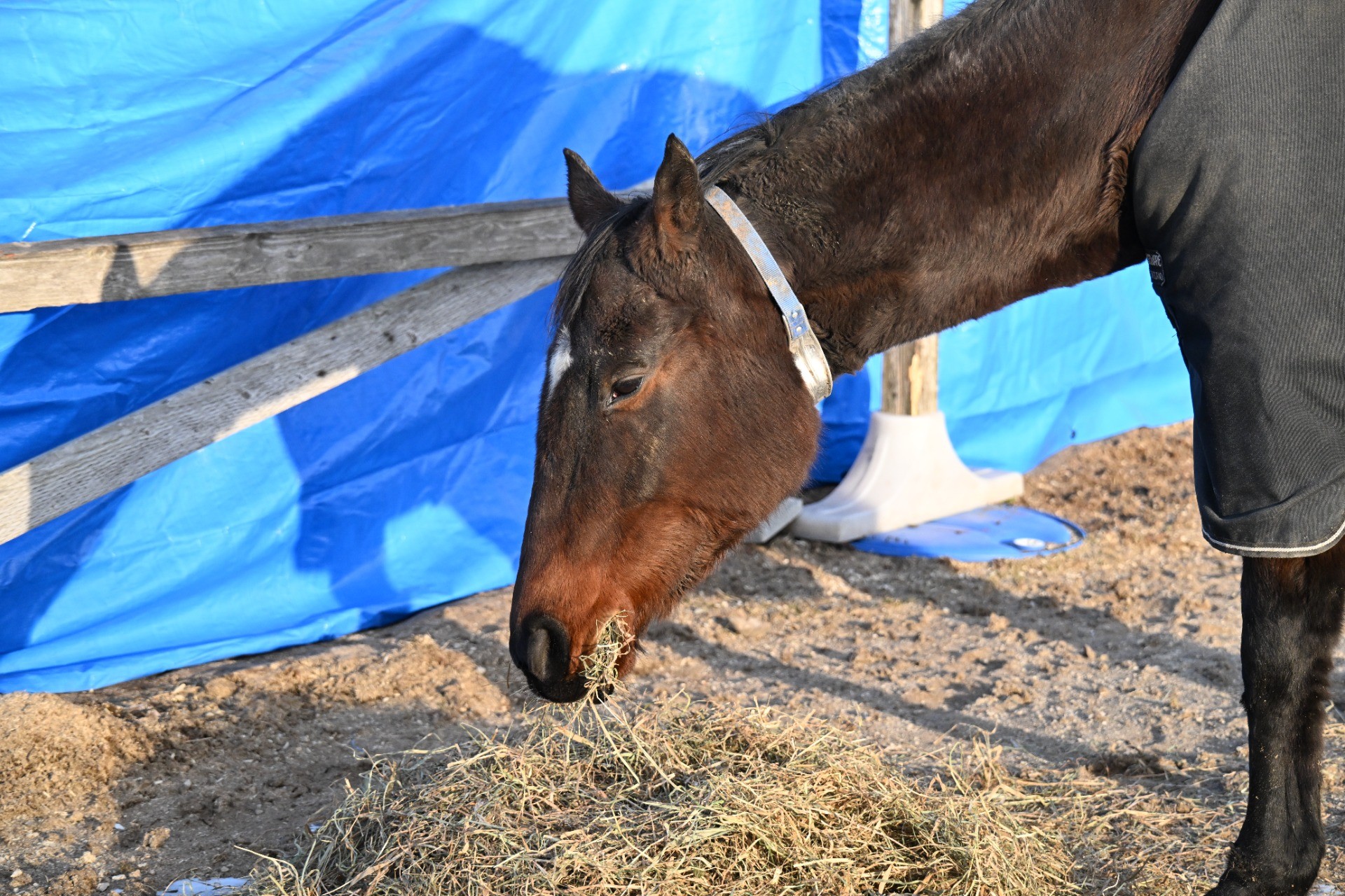1月　近況のご報告