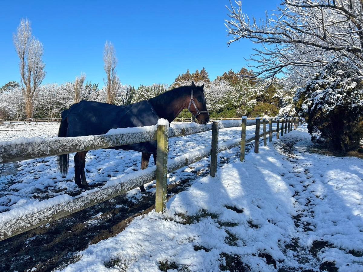 1月　近況のご報告