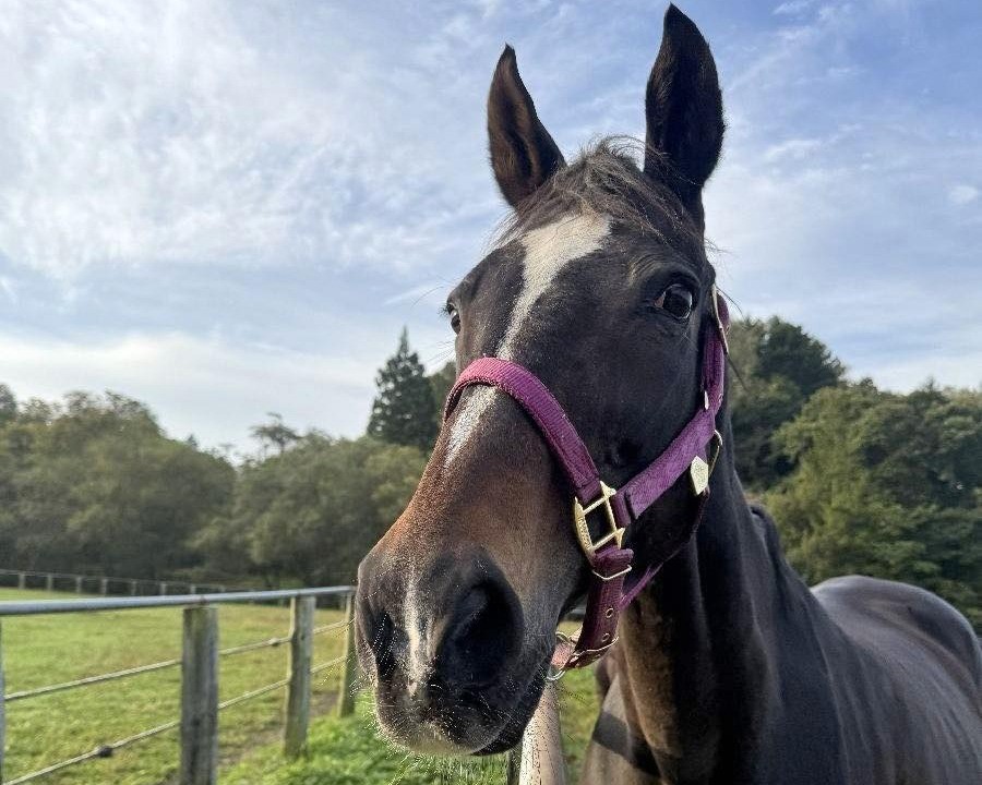 ポップコーンジャズ　26歳の誕生日おめでとう！