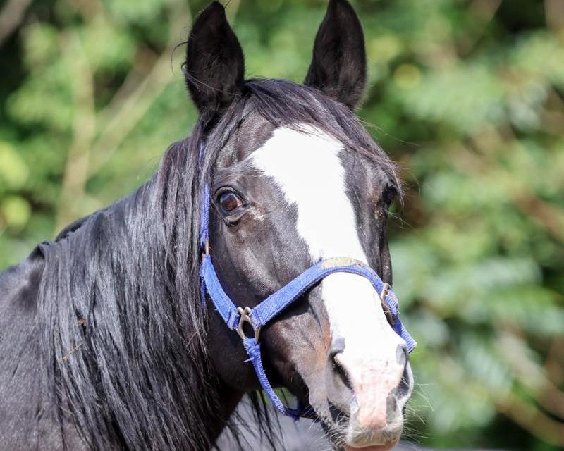 コッチャン　 19歳の誕生日おめでとう！