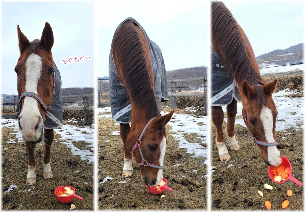 2月16日 近況のご報告