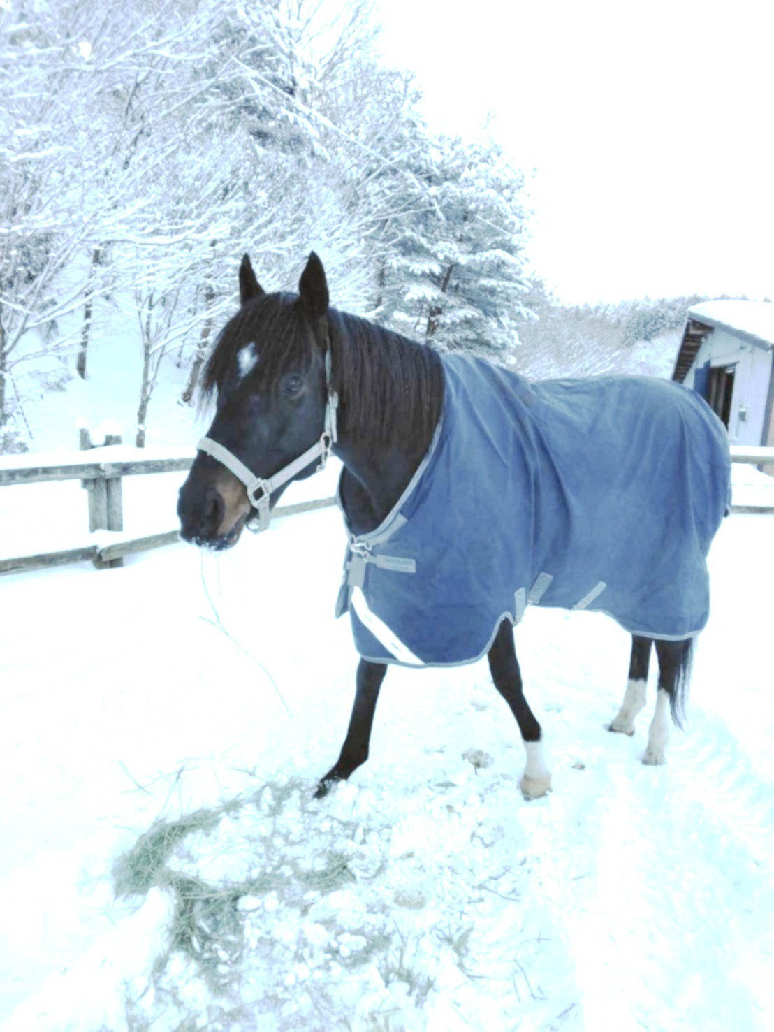 1月から2月のご報告