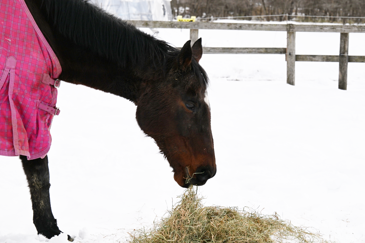 2月　近況のご報告