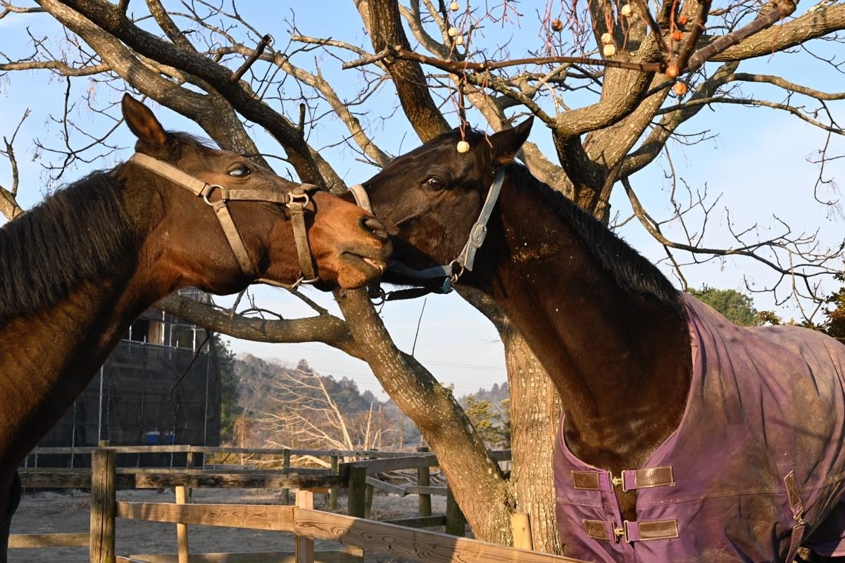 2月　近況のご報告
