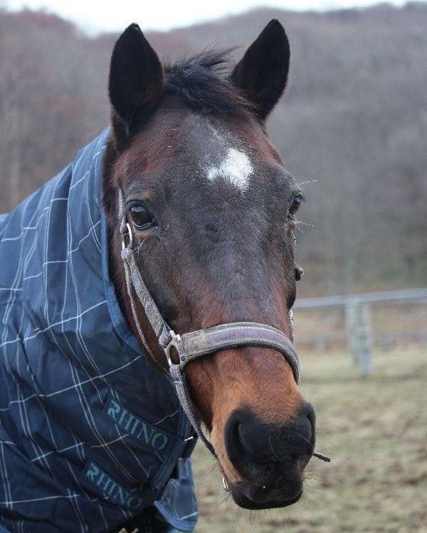 バルドウィナ　28歳の誕生日おめでとう！
