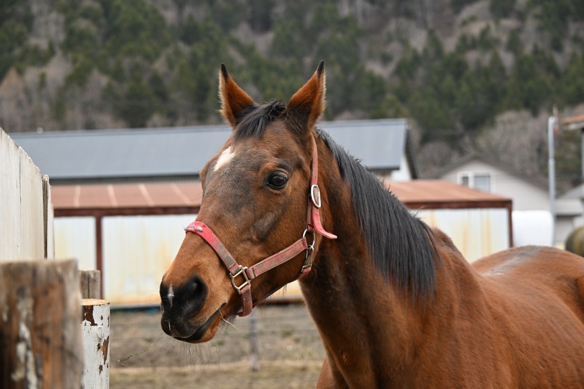 3月 近況のご報告
