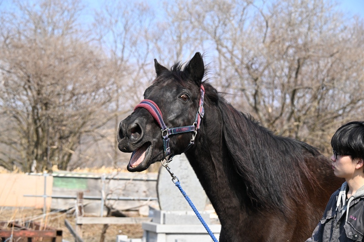 3月　近況のご報告
