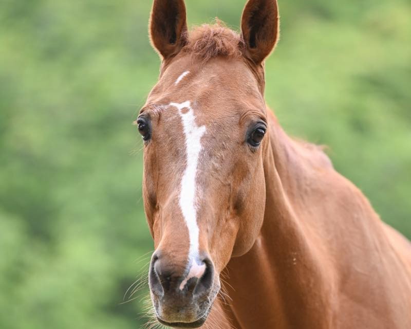 モルトベーネ　14歳の誕生日おめでとう！