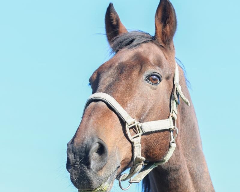 ナイスゴールド　28歳の誕生日おめでとう！