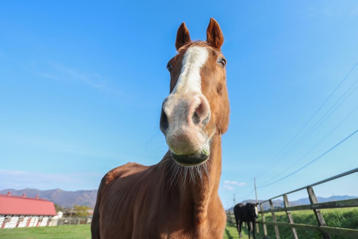 エアリカコ　27歳の誕生日おめでとう！