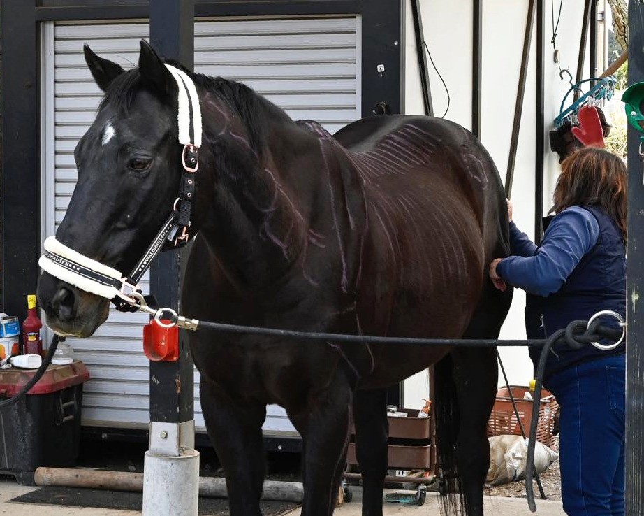 3月　近況のご報告