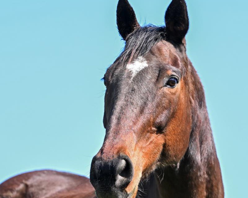 サチノスイーティー　23歳の誕生日おめでとう！