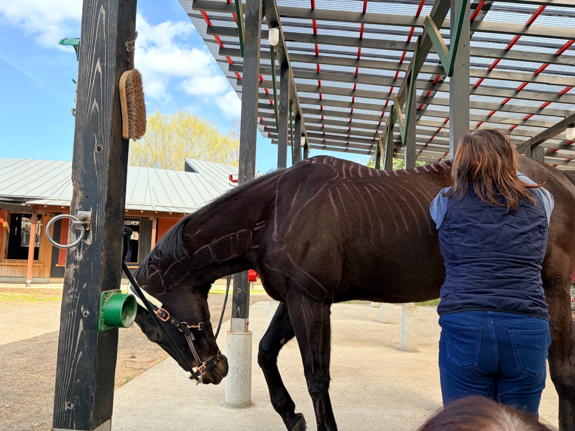 2026年3月15日「FHと過ごす日」リポート／「馬とのコミュニケーションツール」第1回
