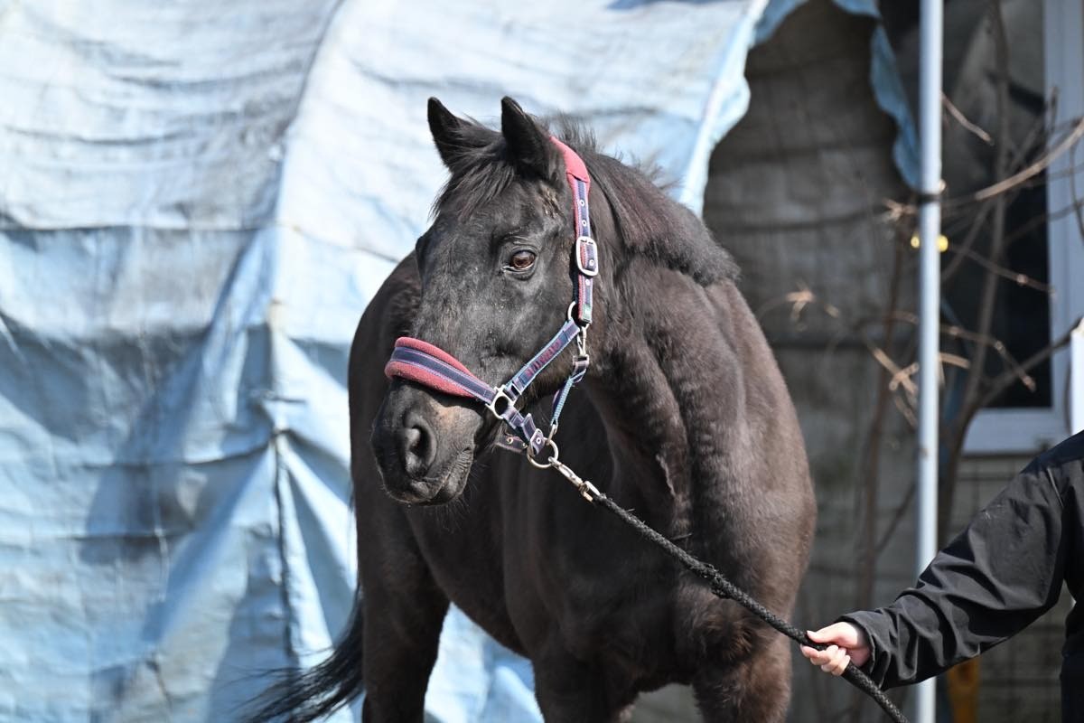 4月　近況のご報告