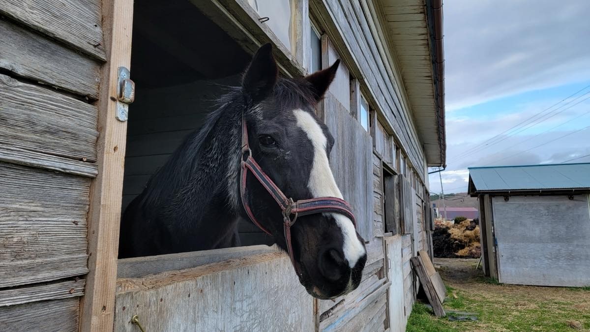 4月15日 近況のご報告 