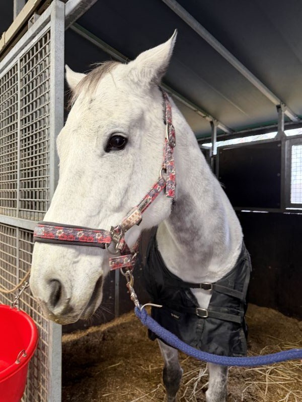 第56期生 タッチライフ 卒業