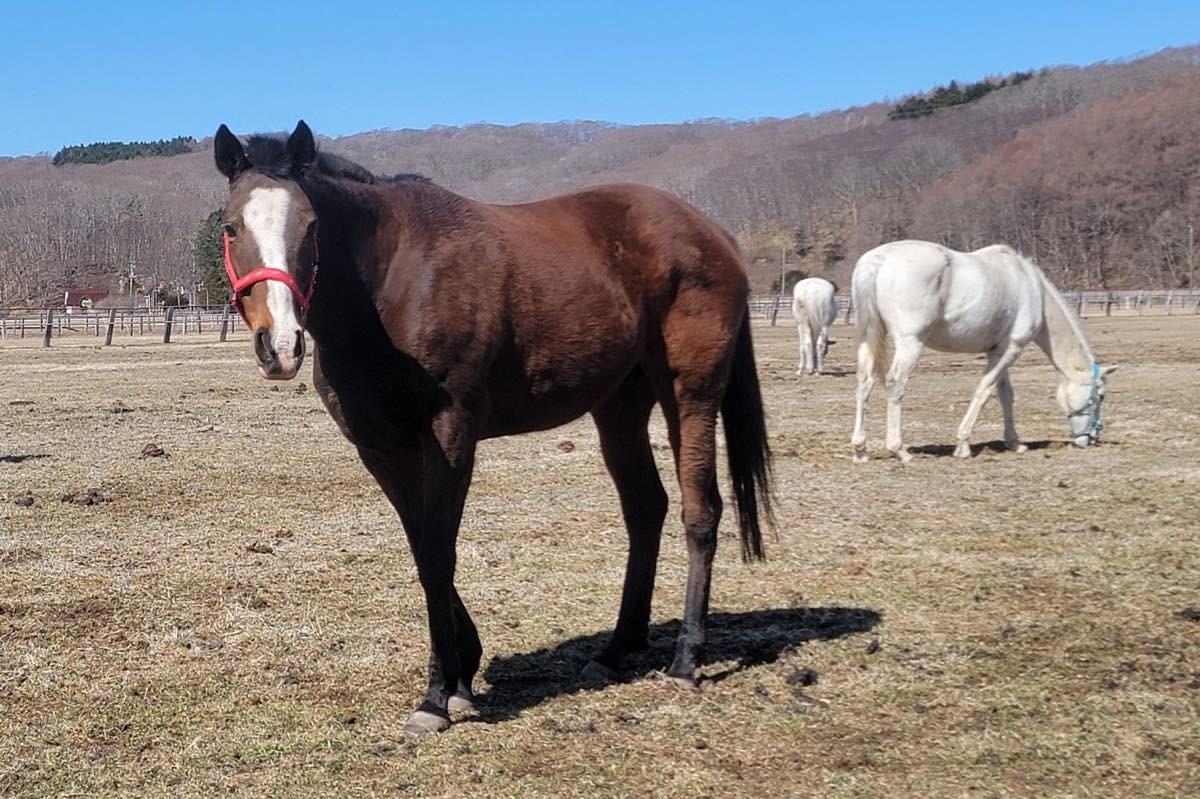 3月16日 近況のご報告 