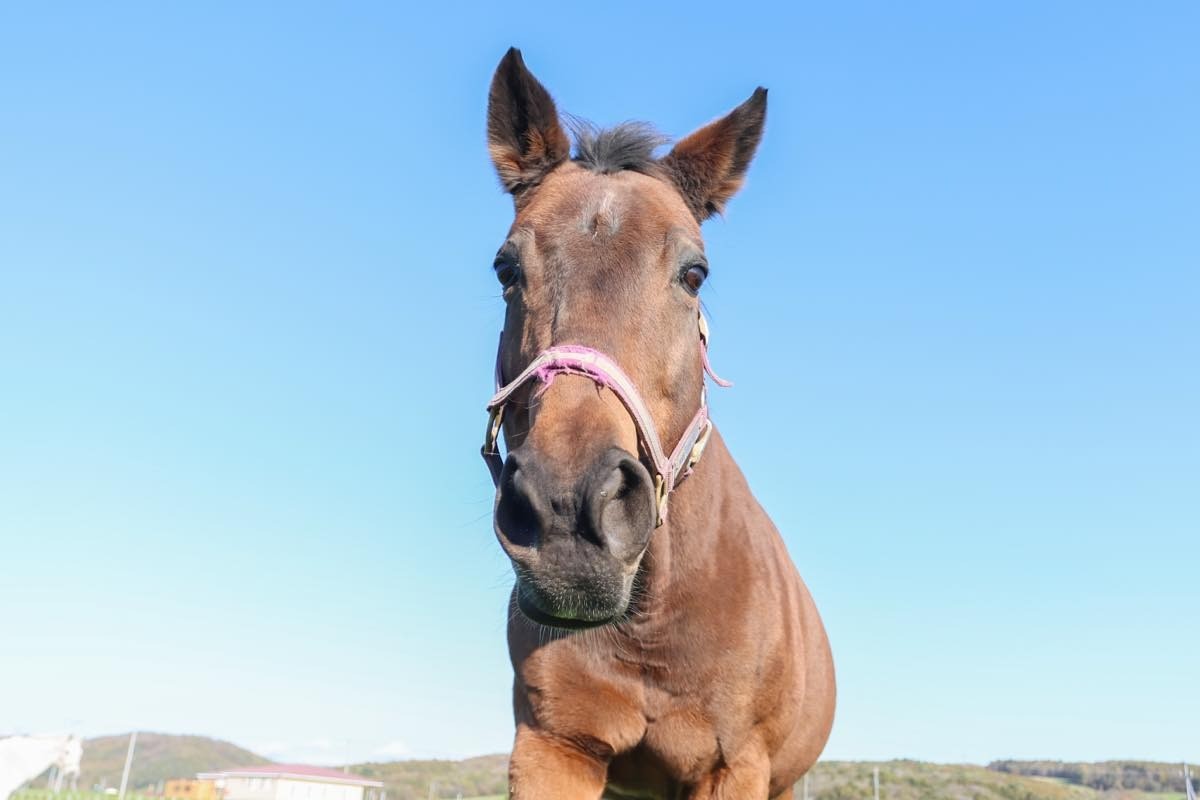 モアザンベスト　24歳の誕生日おめでとう！ 