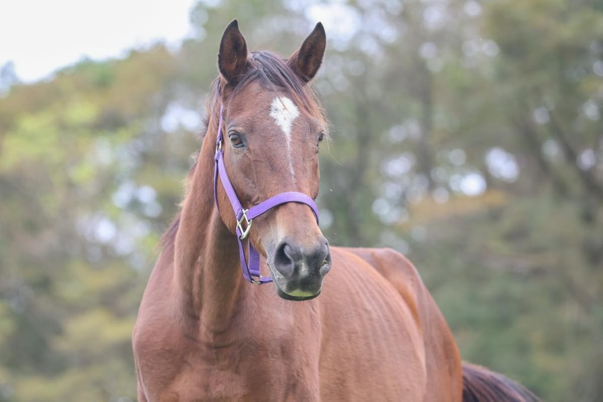 トリップオブラブ　12歳の誕生日おめでとう！