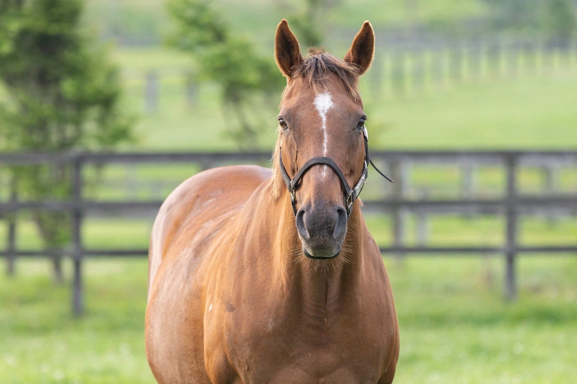 マリーンウィナー