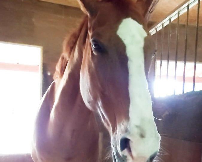 4月　近況のご報告