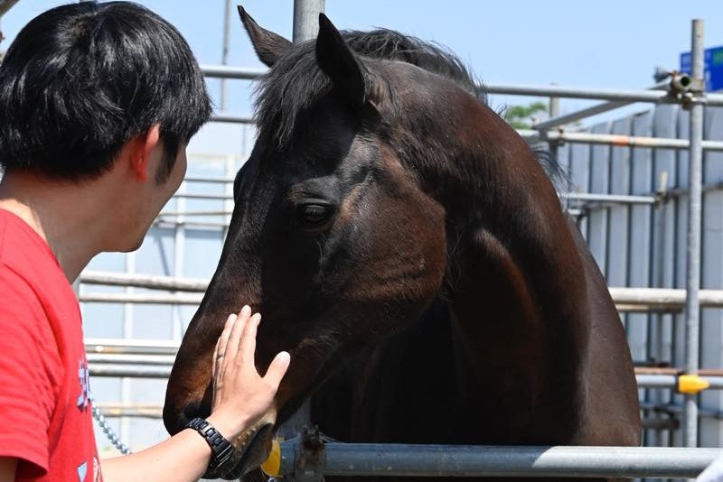 ジンギ　近況のご報告／5月16日「ジンギ お披露目見学会」を開催しました