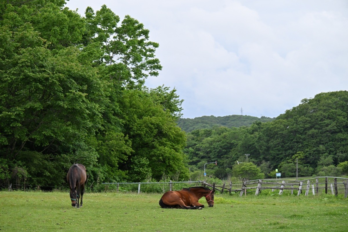 6月 近況のご報告