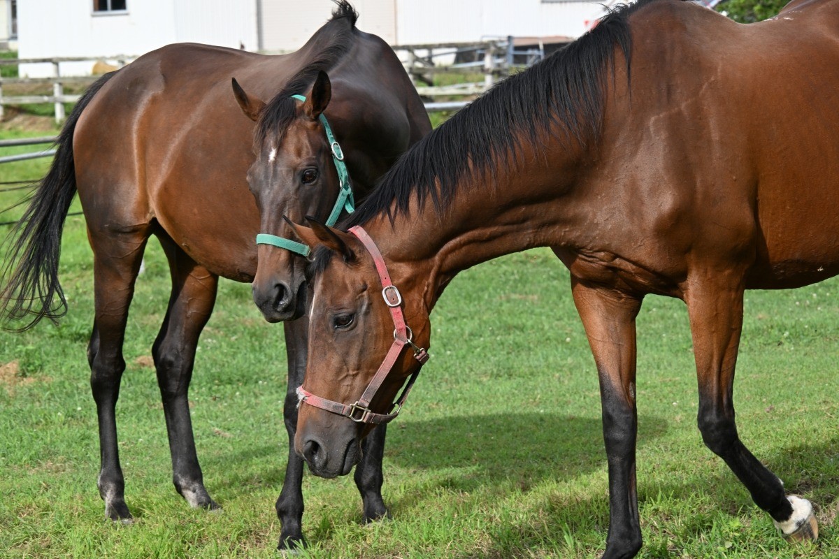 8月 近況のご報告