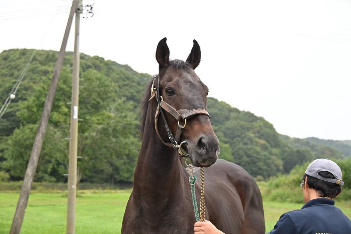 【新FHのお知らせ】ストロングリターンが「ナイスネイチャ・メモリアルドネーション2026」受け入れ第3号馬／100頭目のFHに