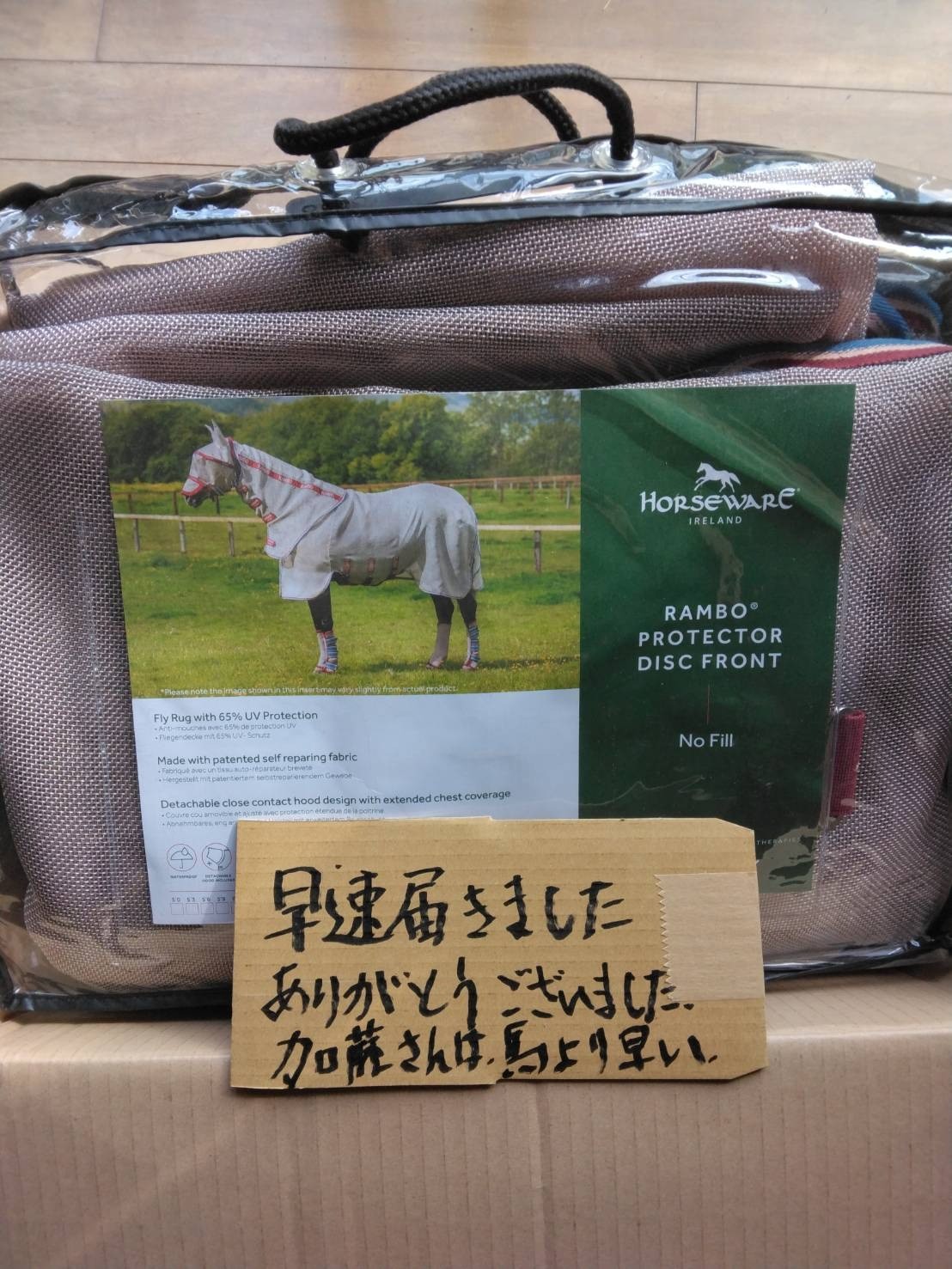 フライシート