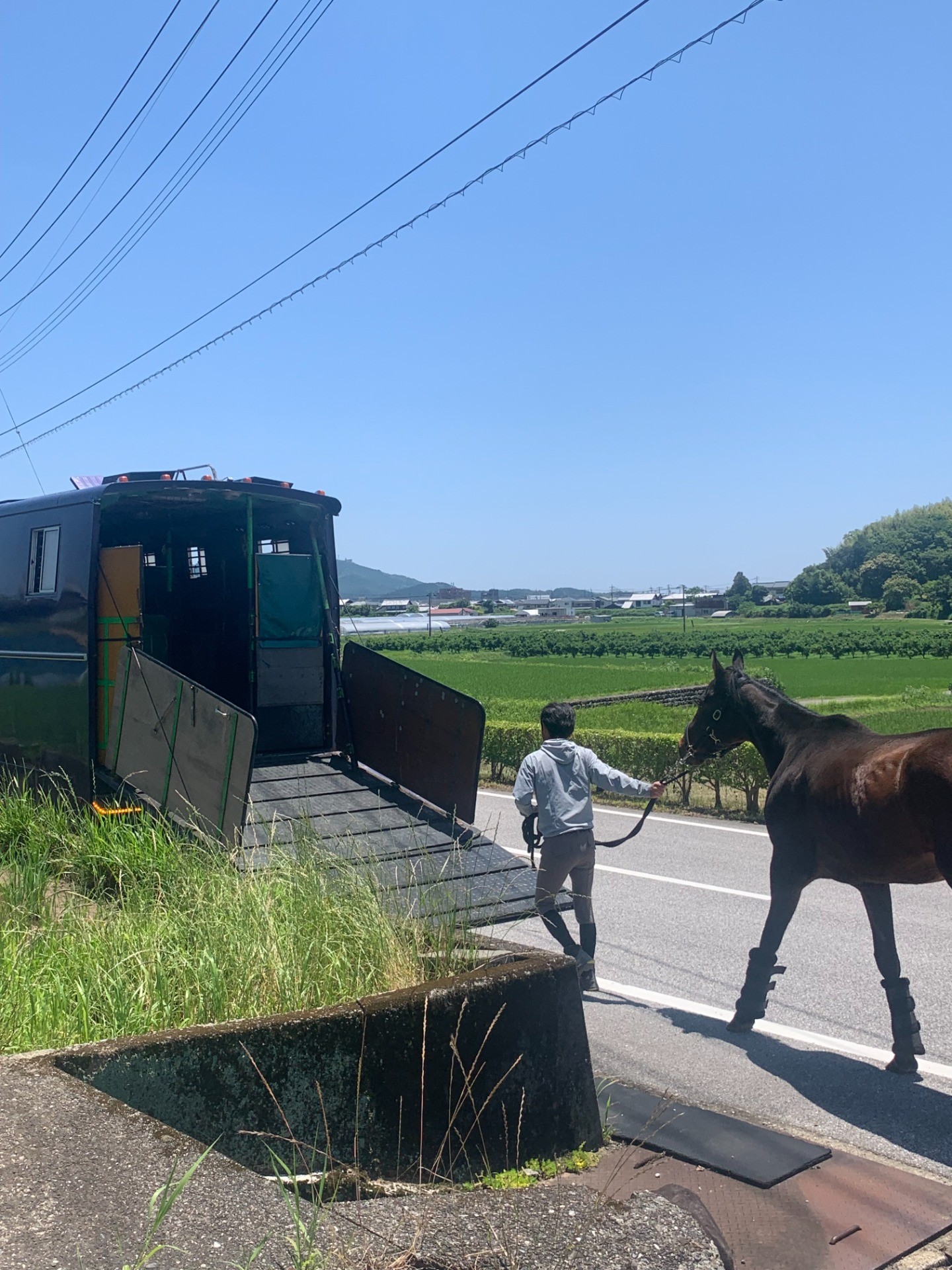 馬運車に乗り込むボヌール