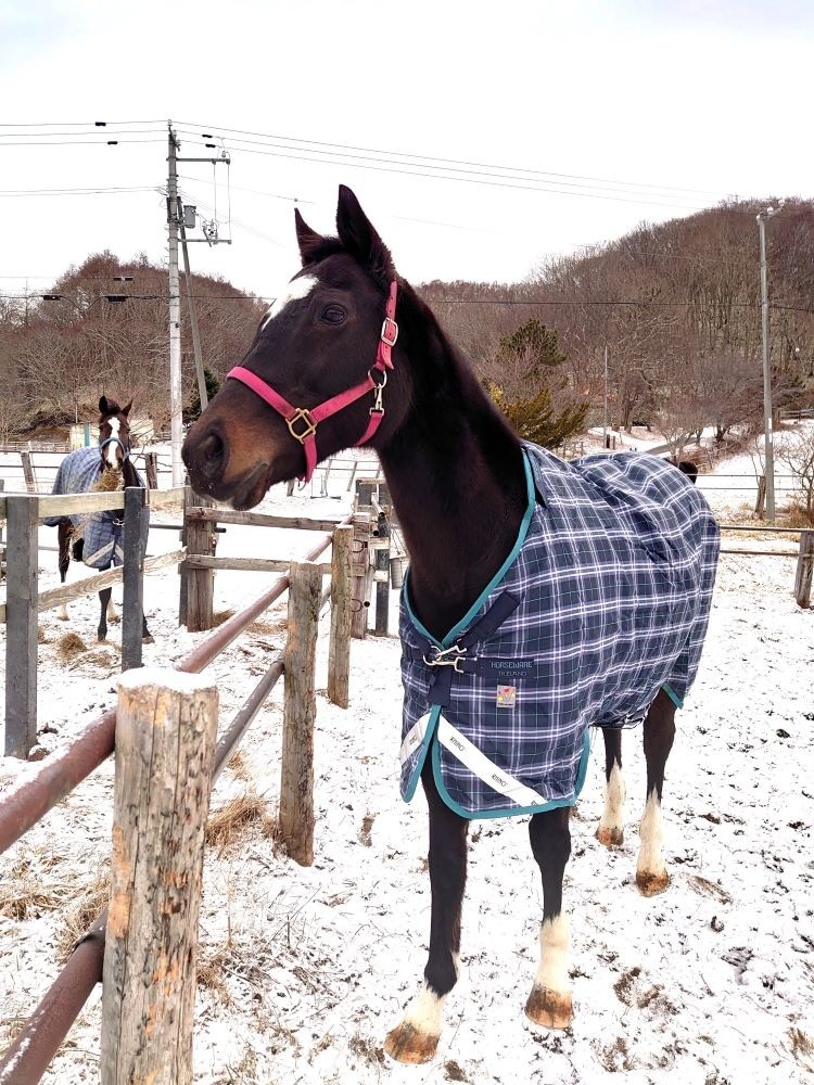 回りの風景に興味津々