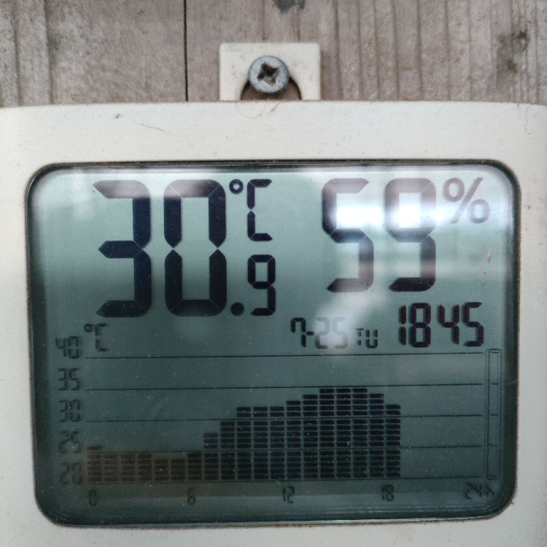 厩舎みちくささんから、ヴァーゲンザイルの7月の報告が届きました