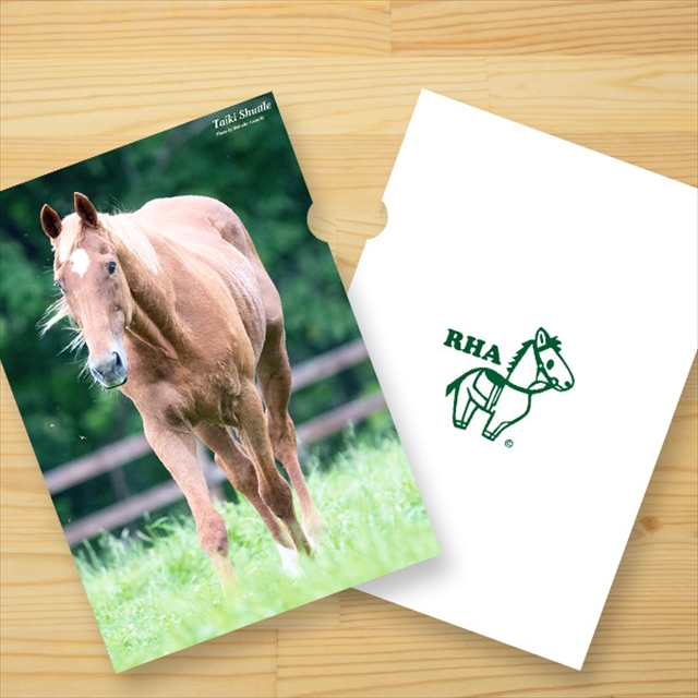 クリアファイル新商品一般発売開始！