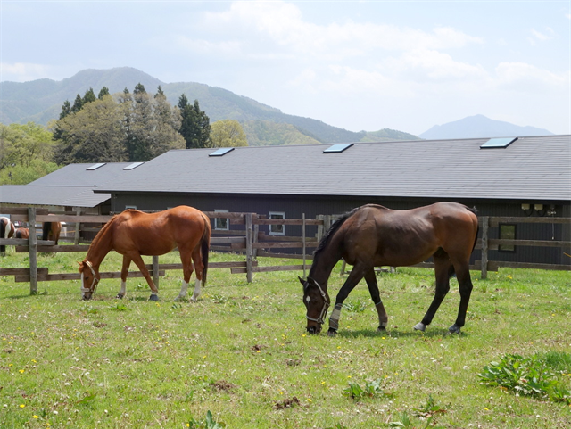 【引退馬預託施設INFO】に八ヶ岳ホースケア牧場を追記しました