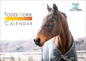 認定npo法人引退馬協会 引退した競走馬の余生を支援する