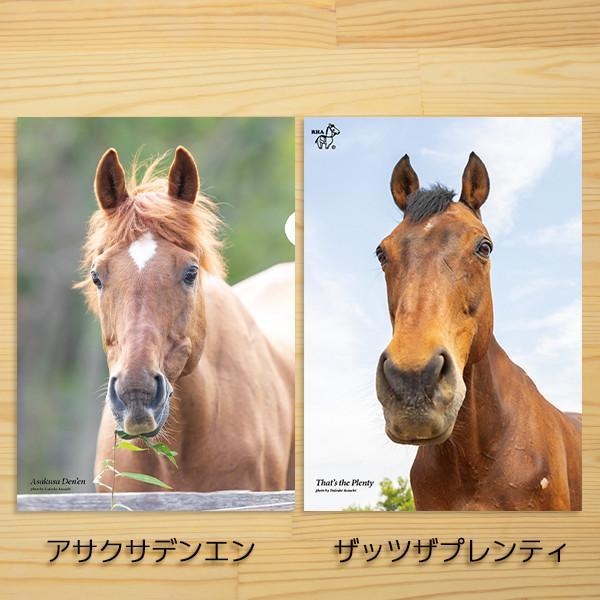 クリアファイル　アサクサデンエン＆ザッツザプレンティ